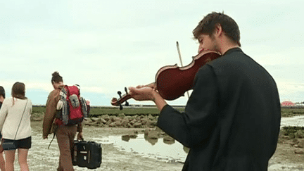 Un des violonistes du groupe Zef rejoint à pied et en musique l'île de Tatihou.
 (France 3 Culturebox (capture d&#039;écran))