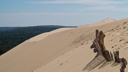 L'urne a &eacute;t&eacute; retrouv&eacute;e &agrave; No&euml;l, dans les sables de la dune du Pilat (Gironde). (  MAXPPP)