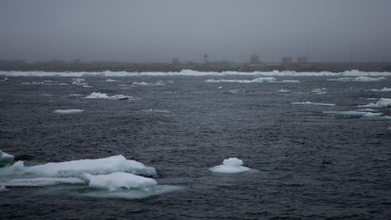 &nbsp; (ANNA DENIAUD / TARA EXPEDITIONS)