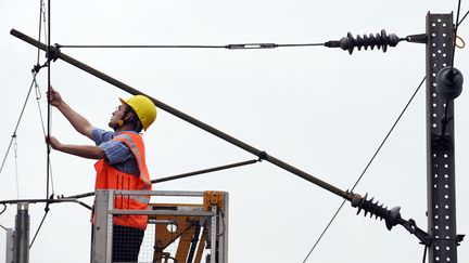 Un technicien inspecte une caténaire, le 1er novembre 2008 à Strasbourg. (PATRICK HERTZOG / AFP)