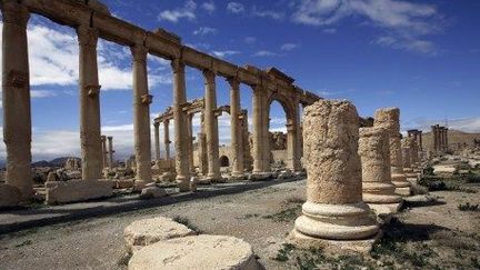 Le site de Palmyre, la ville de la Reine Zénobie (IIIe siècle), en Syrie. (JOSEPH EID / AFP)