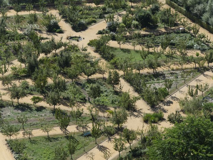 Potager-verger de La Roche Guyon, vu du donjon.&nbsp; (ISABELLE MORAND / RADIO FRANCE)