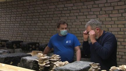 Le "Bunker Comestible", à Strasbourg (Bas-Rhin), forme des personnes aveugles ou malvoyantes à la culture du champignon. (CAPTURE D'ÉCRAN FRANCE 3)