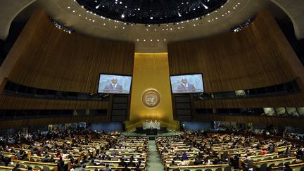 L'Assembl&eacute;e g&eacute;n&eacute;rale de l'ONU, &agrave; New York, lors d'un discours de Kofi Annan sur la situation en Syrie, le 7 juin 2012. (TIMOTHY A. CLARY / AFP)