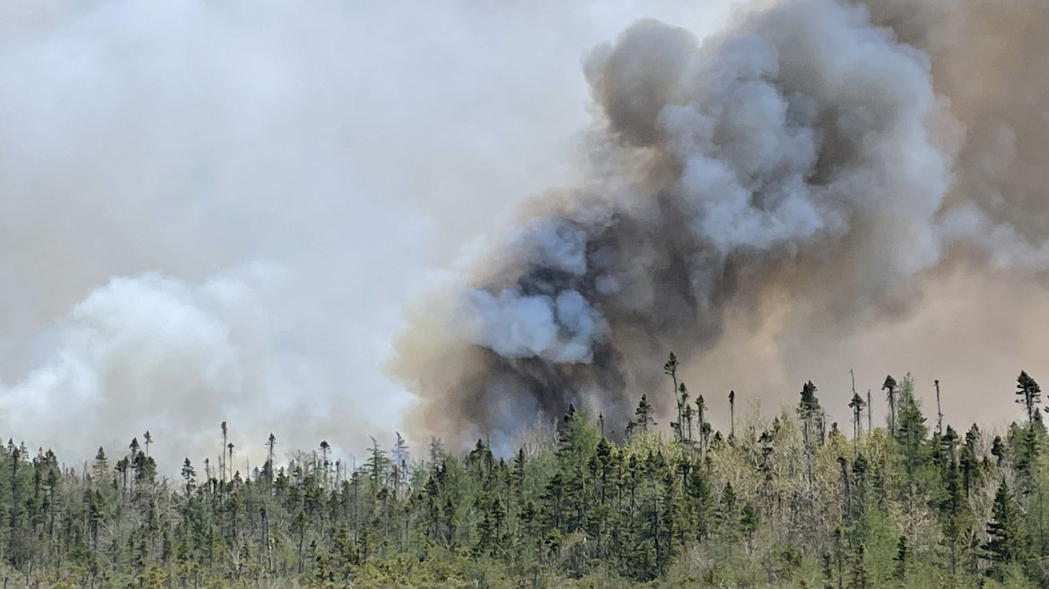 Infographics More than 360 times the size of Paris, 794 times the size of Lyon… What would Canadian fires look like if they raged in France?