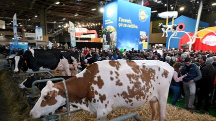 Près de 600 000 personnes sont attendues jusqu'au 5 mars. (VINCENT MOUCHEL / MAXPPP)