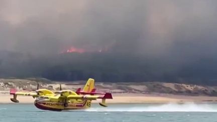 Après six jours de lutte acharnée, les incendies continuaient de progresser en Gironde, dimanche 17 juillet. (FRANCEINFO)