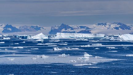 Des icebergs au large de l'Antarctique, le 27 janvier 2023. (SERGIO PITAMITZ / BIOSPHOTO / AFP)