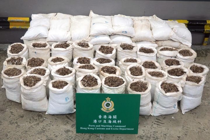 Une saisie de 1800 kg d'écailles de pangolins par les douanes à Hong Kong, pour une valeur estimée à 350 000 dollars, le 5 janvier 2018.&nbsp; (HONG KONG CUSTOMS AND EXCISE DEPARTMENT / AFP PHOTO)