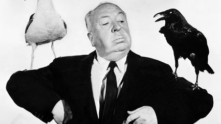 Le r&eacute;alisateur anglo-am&eacute;ricain Alfred Hitchcock pendant le tournage des "Oiseaux" en 1963. (STF / AFP)