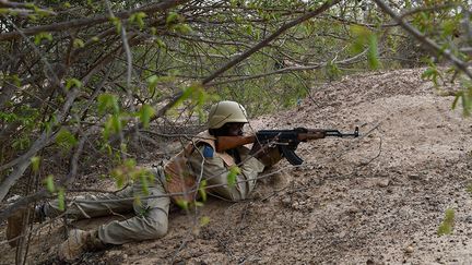 qui participent à la Minusma (la force de maintien de la paix des Nations Unies au Mali). Dans l'avenir, je pense que nous travaillerons également avec les pays membres du G5 et sa force conjointe», souligne Eric Whitaker, ambassadeur américain à Niamey, cité par RFI. «L'exercice Flintlock 2018 vise à renforcer les capacités des pays de la région (sahélienne) à lutter contre les organisations extrémistes violentes (…), à protéger leurs frontières», ajoute l'ambassadeur. (Issouf Sanogo / AFP)