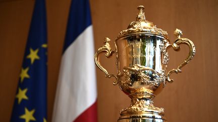 Le trophée Webb Ellis, remis aux vainqueurs de la Coupe du monde de rugby, exposé à Paris, le 24 novembre 2017. (CHRISTOPHE SIMON / AFP)