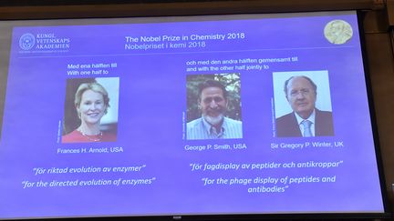 Frances H. Arnold, George P. Smith et Gregory P. Winter obtiennent le prix Nobel de chimie 2018. (JONAS EKSTROMER / TT NEWS AGENCY  / AFP)