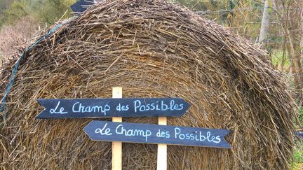 La ferme urbaine Le Champ des Possibles est en cours d'installation sur l'ancien hippodrome des Bruyères, à Sotteville-lès-Rouen. (ISABELLE MORAND / DR / RADIO FRANCE / FRANCE INFO)