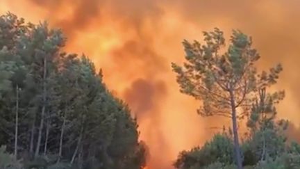 Incendies en Gironde : pourquoi les pompiers ne parviennent pas à les maîtriser ?