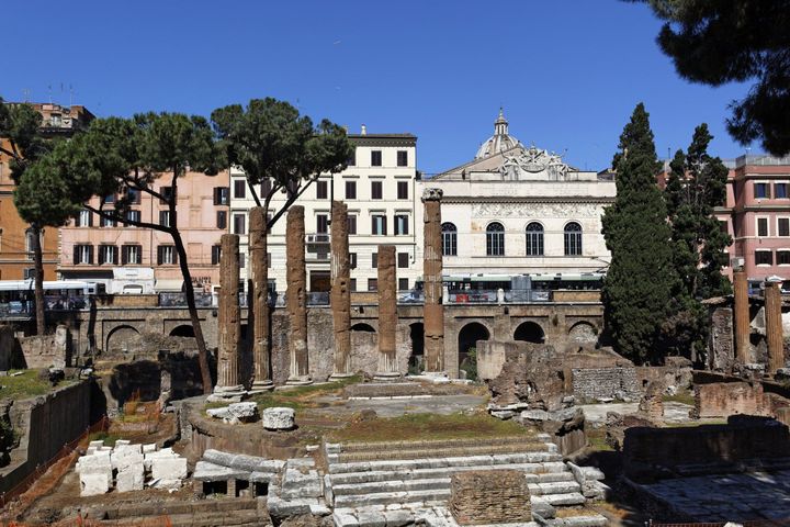 Les ruines romaines de l&#039;Area Sacra, en plein centre de Rome
 (HAUSER Patrice / AFP)