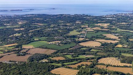 Des champs agricoles près de la côte de granit rose dans les Côtes-d'Armor.&nbsp; (DENIS TRASFI / MAXPPP)