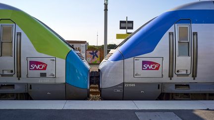 Train regional TER à quai dans une gare SNCF en région Pays de la Loire, le 20 août 2024. (MATHIEU THOMASSET / HANS LUCAS)