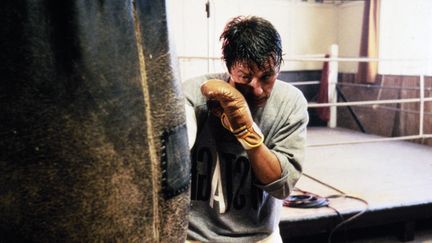 Mort d'Alain Delon : organisateur d'un combat de boxe, commentateur, fan de F1& L'acteur était un passionné de sport