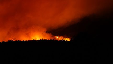 Un incendie de forêt à Candelaria, sur l'île de Tenerife, aux Canaries (Espagne), le 17 août 2023. (ACFIPRESS / NURPHOTO / AFP)