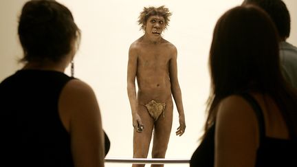 Néandertal : découverte en Espagne de peintures rupestres de 64 000 ans