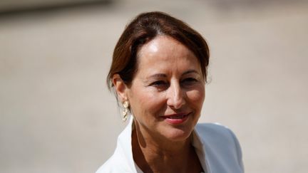 La ministre de l'Ecologie, S&eacute;gol&egrave;ne&nbsp;Royal, le 15 juillet 2015 &agrave; Paris. (CITIZENSIDE / YANN BOHAC / CITIZENSIDE.COM / AFP)