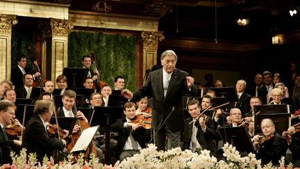 Zubin Mehta dirigeant l'Orchestre philharmonique de Vienne lors du traditionnel concert du Nouvel an de 2007
 (HANS PUNZ/AP/SIPA)