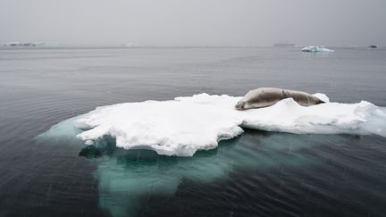 Environnement : la mise en garde des scientifiques contre le réchauffement climatique