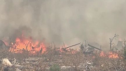 Lundi 12 septembre, la Californie est toujours en proie aux incendies bien que la vague de chaleur soit terminée.&nbsp;La sécheresse rend l’État américain propice aux départs de feux. (FRANCEINFO)