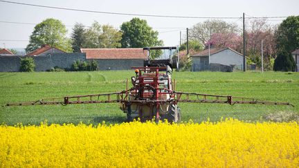 Le Conseil d'État considère qu'une partie de cet arrêté, datant du 4 mai 2017, ne protège pas suffisamment la santé publique. (NICOLAS KOVARIK / MAXPPP)