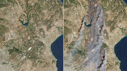 Des images satellite des incendies en Grèce dans l'est de l'Attique, le 11 août 2024 à gauche et le 12 août 2024 à droite. (AFP / PLANET LABS PBC)