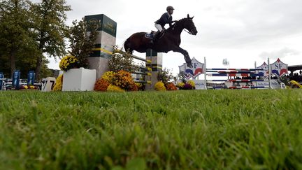 L'un des entraîneurs de chevaux d'obstacles les plus renommés en France a été mis en examen à Versailles, le 19 septembre 2018. (photo d'illustration) (MAXPPP)