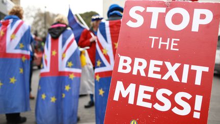 Des militants anti-Brexit manifestent devant le Parlement, à Londres (Royaume-Uni), le 8 avril 2019. (DAVID CLIFF / NURPHOTO / AFP)