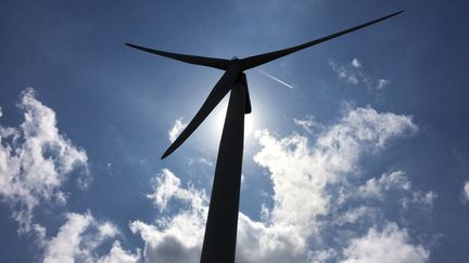 Danemark : la référence de l'éolien