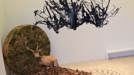 A travers des &oelig;uvres majeures, l'exposition "Beaut&eacute; Animale" propose au public du Grand Palais (Paris 8e) de d&eacute;couvrir les liens qui unissent les artistes et le monde animal depuis la Renaissance. (ELODIE DROUARD / FTVI)