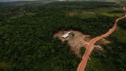 La déforestation a augmenté respectivement de 37% et 52%. Mais les Etats du Roraima et du Maranhao sont également touchés. (Reuters/Nacho Doce)