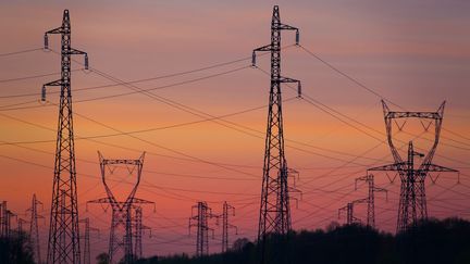 Des lignes électriques dans le Loiret. (THIERRY GRUN / ONLY FRANCE)