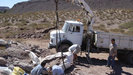 Lors de l'extraction des ossements de dinosaures, le 2 novembre 2018 dans la province de Neuquén, en Argentine. (HO / AGENCIA CTYS)