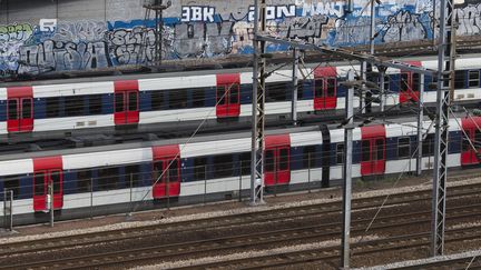 L'enfant est n&eacute; sur une passerelle d'une gare RER. (JOEL SAGET / AFP)