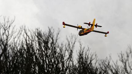 Un bombardier d'eau survole la zone dévastée par un incendie au Cap Corse (Haute-Corse), samedi 12 août 2017. (PASCAL POCHARD-CASABIANCA / AFP)