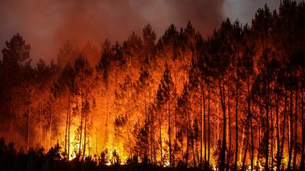 Gironde : des incendies incontrôlables