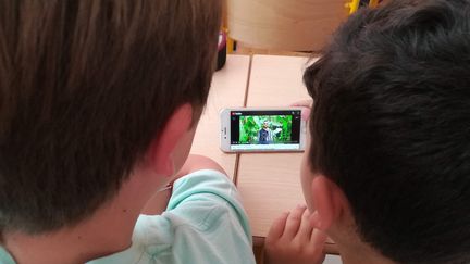 Enfants devant un écran de téléphone portable. Photo d'illustration. (SOPHIE GLOTIN / FRANCE-BLEU PROVENCE)