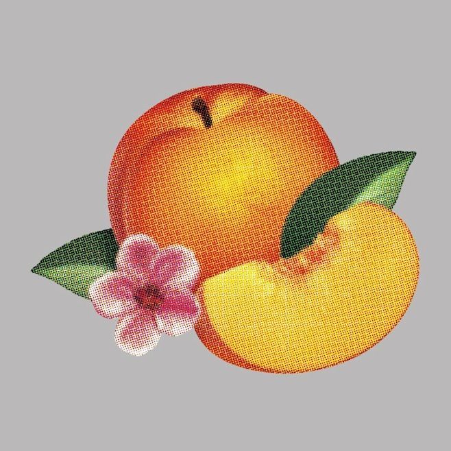 La pochette de "Bankrupt !" de Phoenix.
 (Glassnote)