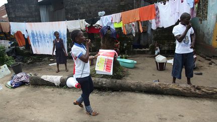 Des consignes sur le virus Ebola lues dans un village de l'ouest du Liberia, en avril 2014.&nbsp; (EYEPRESS NEWS / AFP)