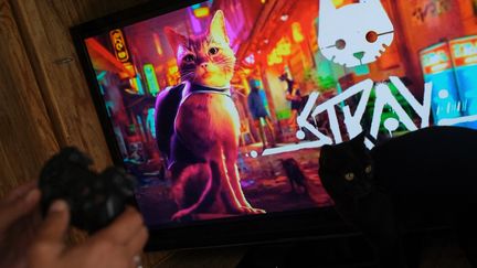 Sur cette photo d'illustration, un chat passe devant un écran alors qu'une personne joue au jeu vidéo "Stray" à Los Angeles, en Californie, le 2 août 2022. (CHRIS DELMAS / AFP)