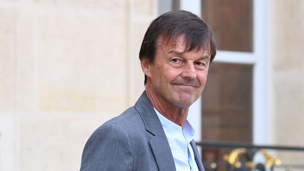 Nicolas Hulot à l'Elysée à Paris, le 6 juin 2018. (ALAIN JOCARD / AFP)