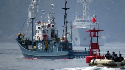 Un bateau japonais servant pour la pêche à la baleine, au port d'Ayukawa, à&nbsp;Ishinomaki (Japon), le 26 avril 2014.&nbsp; (KAZUHIRO NOGI / AFP)