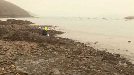 À la découverte des ressources insoupçonnées de la mer