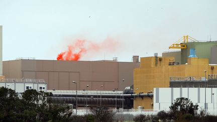 Greenpeace a revendiqué l'allumage de "fumigènes de détresse" sur le site nucléaire de La Hague (Manche), le 25 janvier 2019. (NICOLAS CHAUVEAU / GREENPEACE)