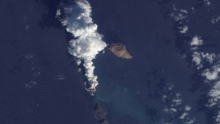 Une nouvelle &icirc;le est apparue &agrave; l'ouest des c&ocirc;tes du Y&eacute;men, selon une photo de la Nasa rendue publique le 30 d&eacute;cembre 2011.&nbsp; (HO / NASA / AFP)